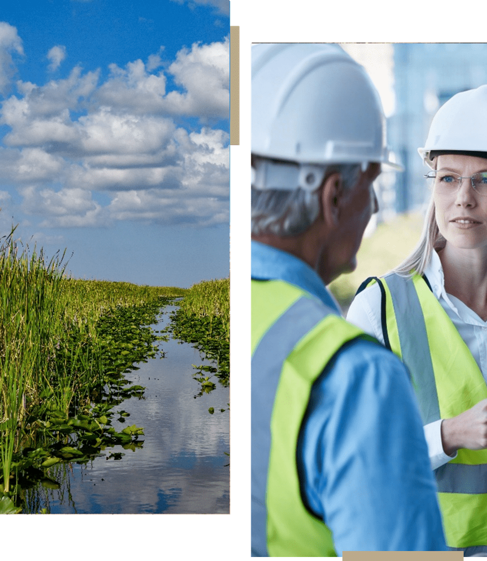 A wetland landscape with blue sky and clouds.