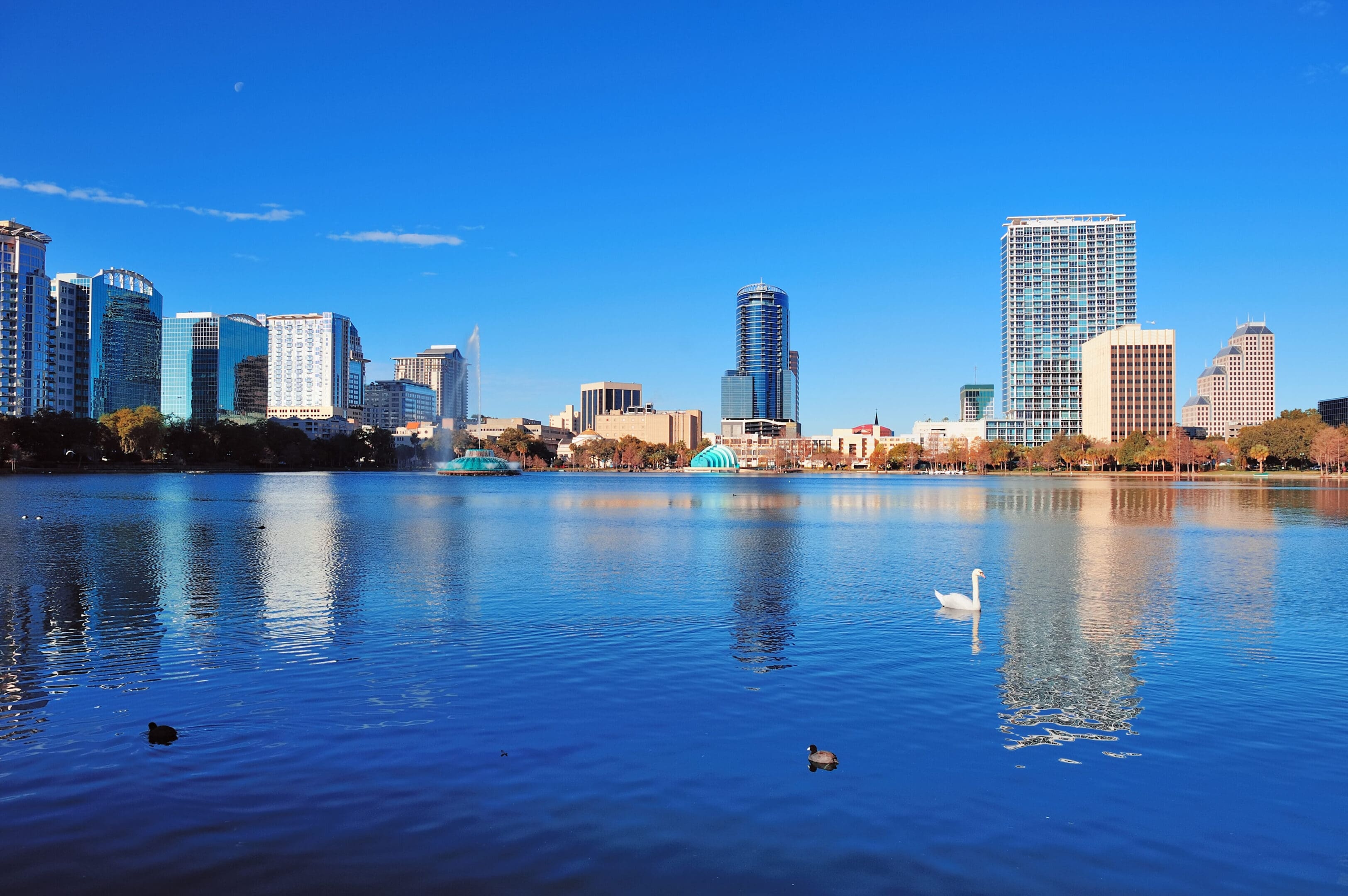 City skyline reflected on a calm lake with birds swimming.