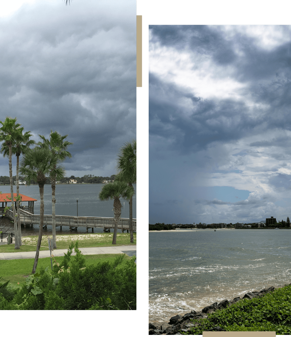 Stormy skies over a coastal area with palm trees and water.