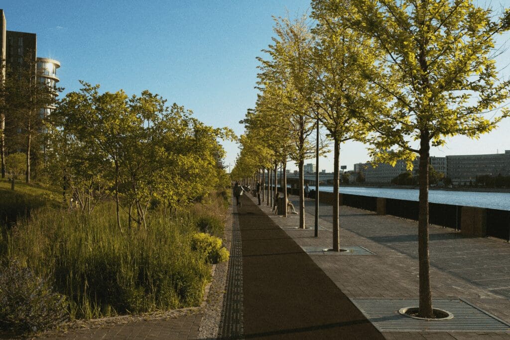 A peaceful park pathway lined with trees and lampposts on a sunny day.