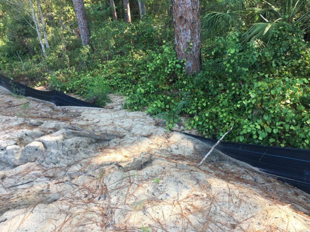 Fresh concrete being smoothed near a garden area with green foliage.