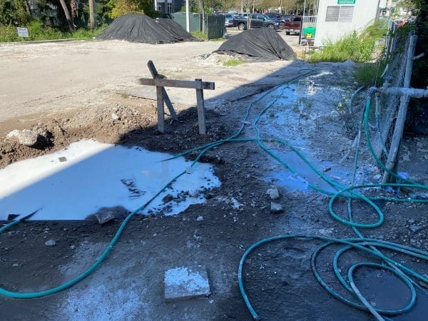 A close-up of a green leaf with visible texture and veins.