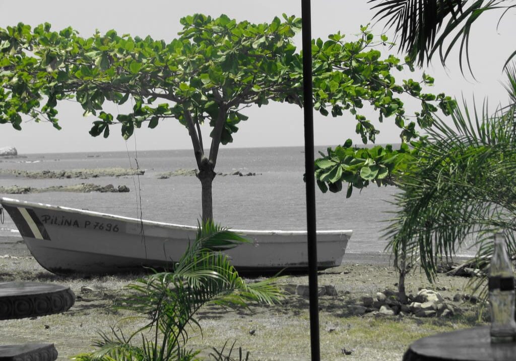 A calm beach scene with boats and greenery under a cloudy sky.