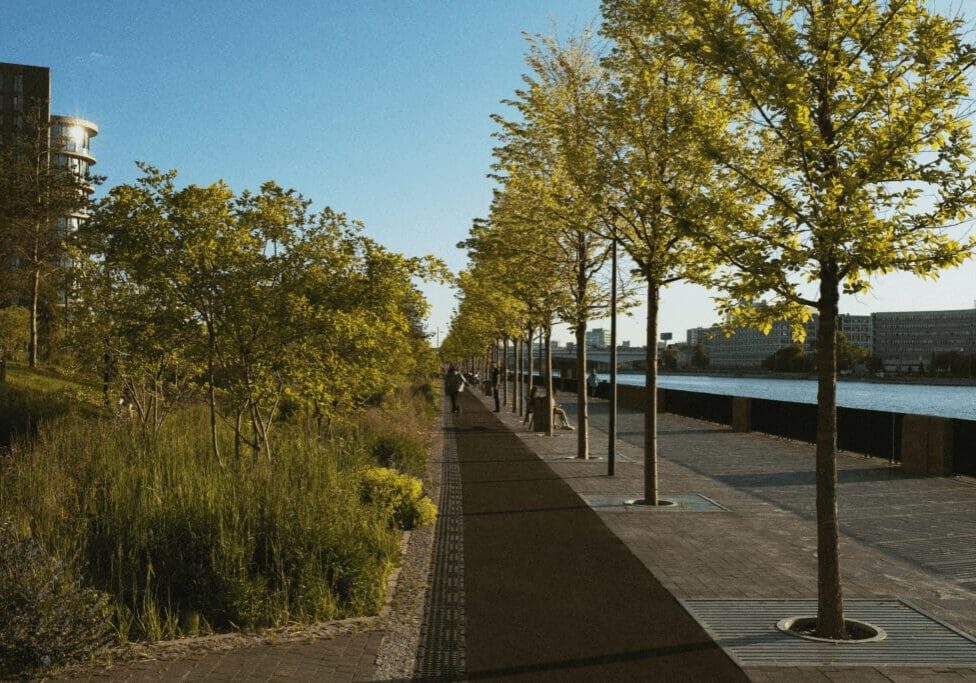 A peaceful park pathway lined with trees and lampposts on a sunny day.