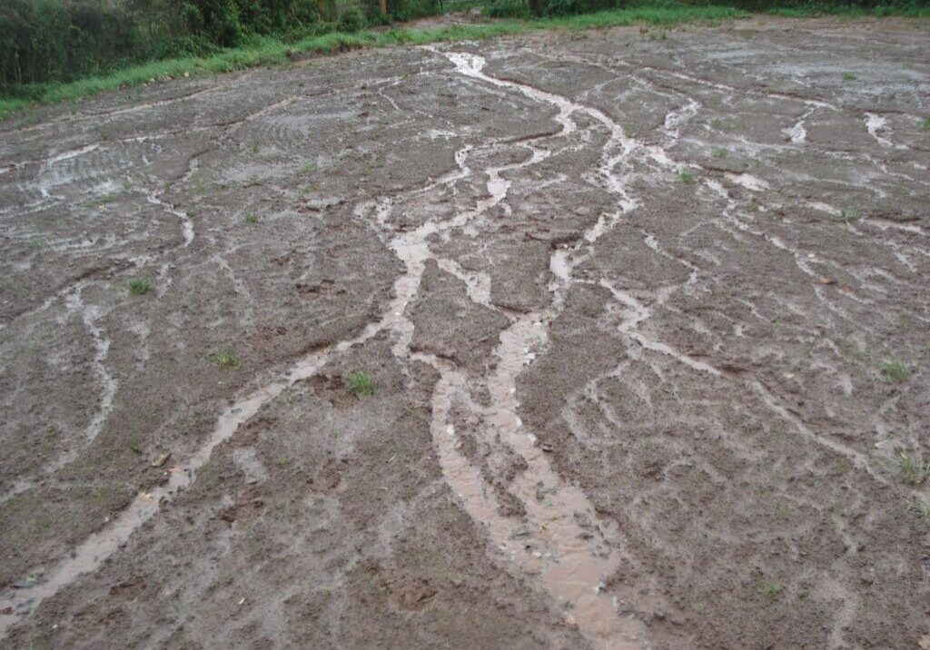 Cracked, dry earth with winding fissures in a barren landscape.