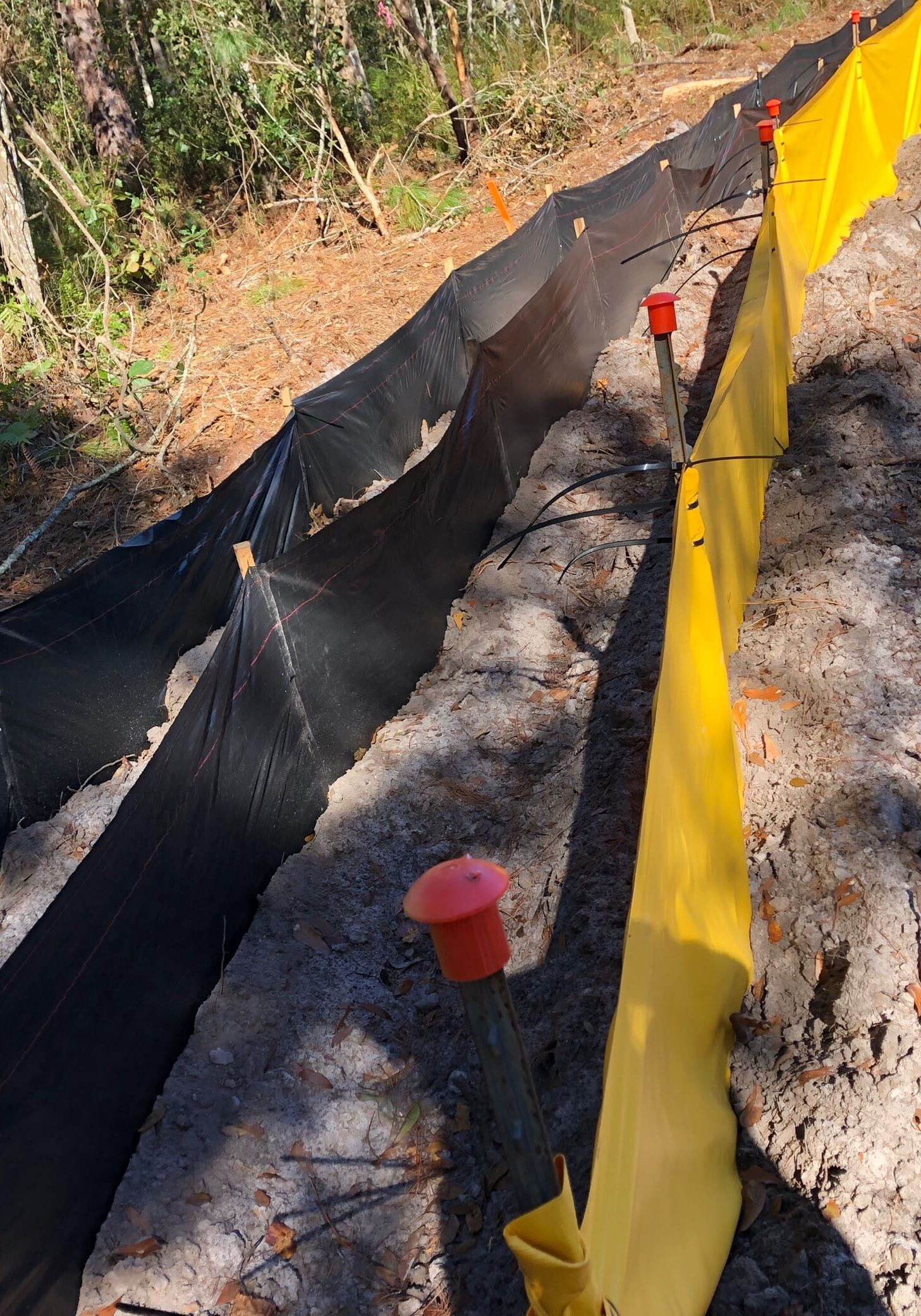Construction site with trench and safety barriers in a wooded area.