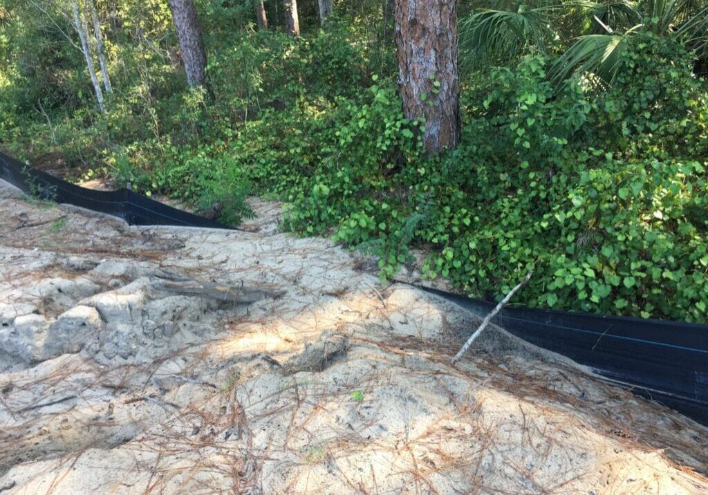 Fresh concrete being smoothed near a garden area with green foliage.