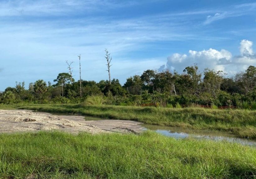 A grassy field with a small creek under a blue sky with clouds.
