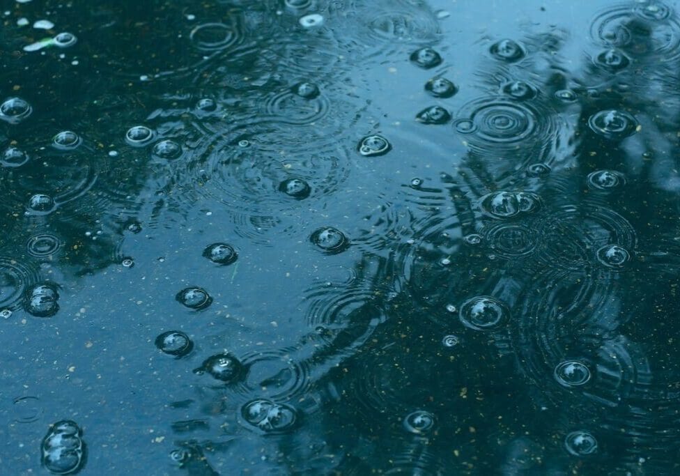 Raindrops creating ripples on a water surface.
