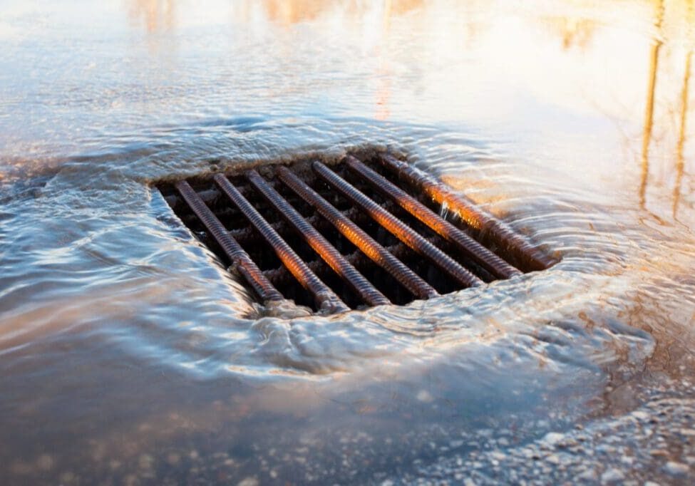 Storm drain with water flowing around it on a wet surface.