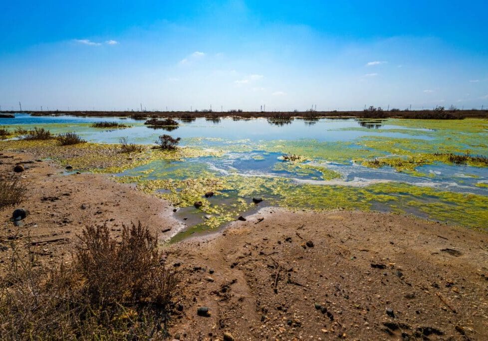 A dry, cracked landscape with patches of water and sparse vegetation under a clear blue sky.