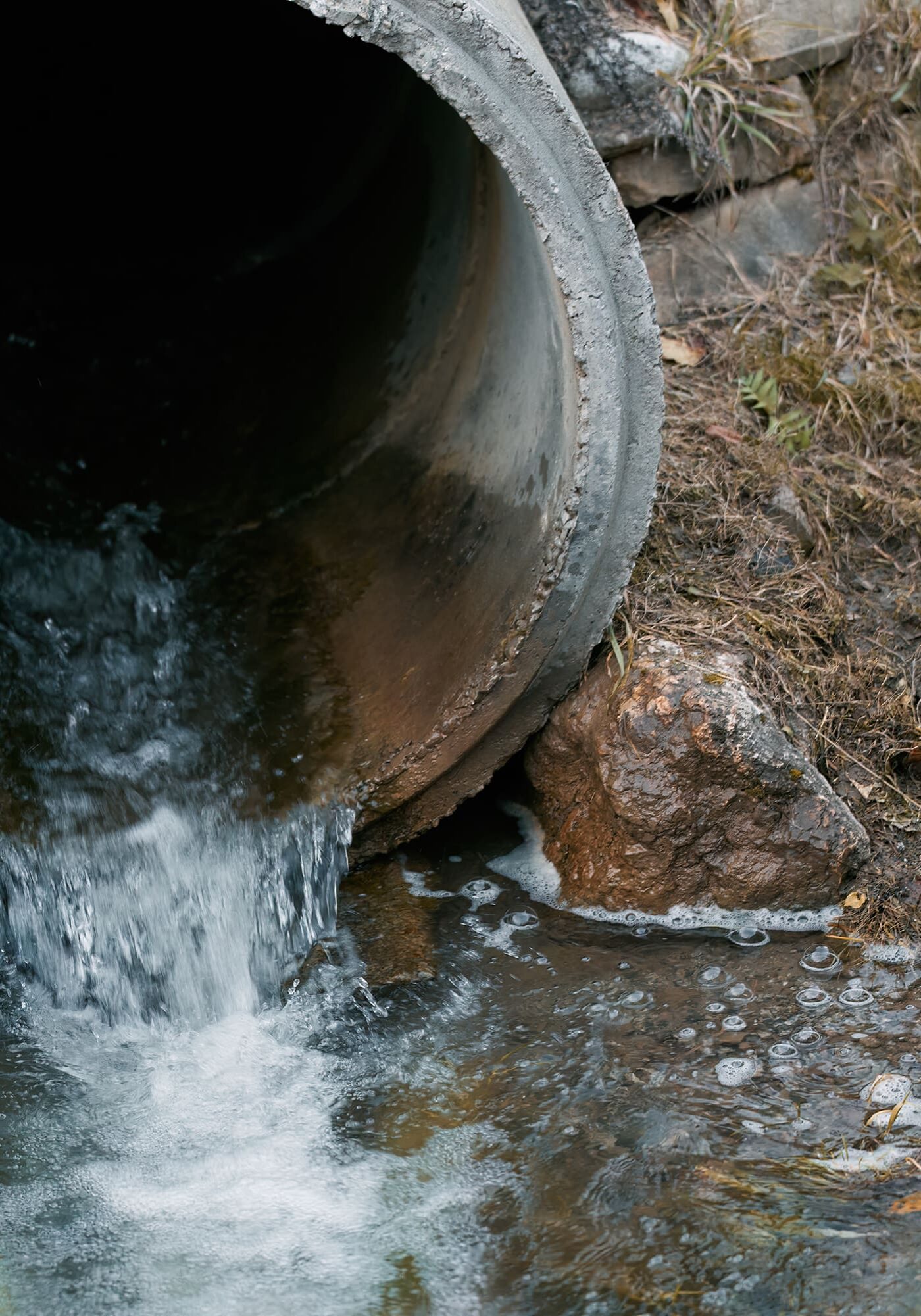 Water flowing out of a large pipe into a natural area.