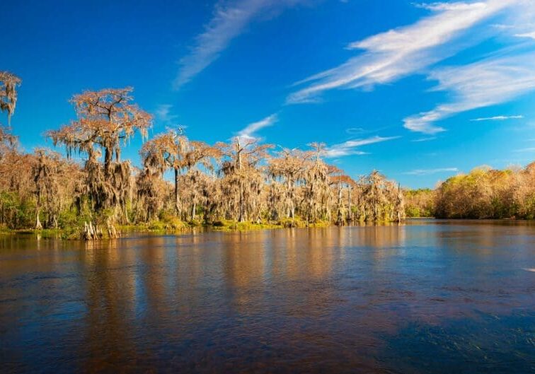 A calm river reflecting trees under a bright blue sky with scattered clouds.