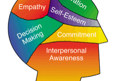 Diagram showing emotional intelligence components in a human head.