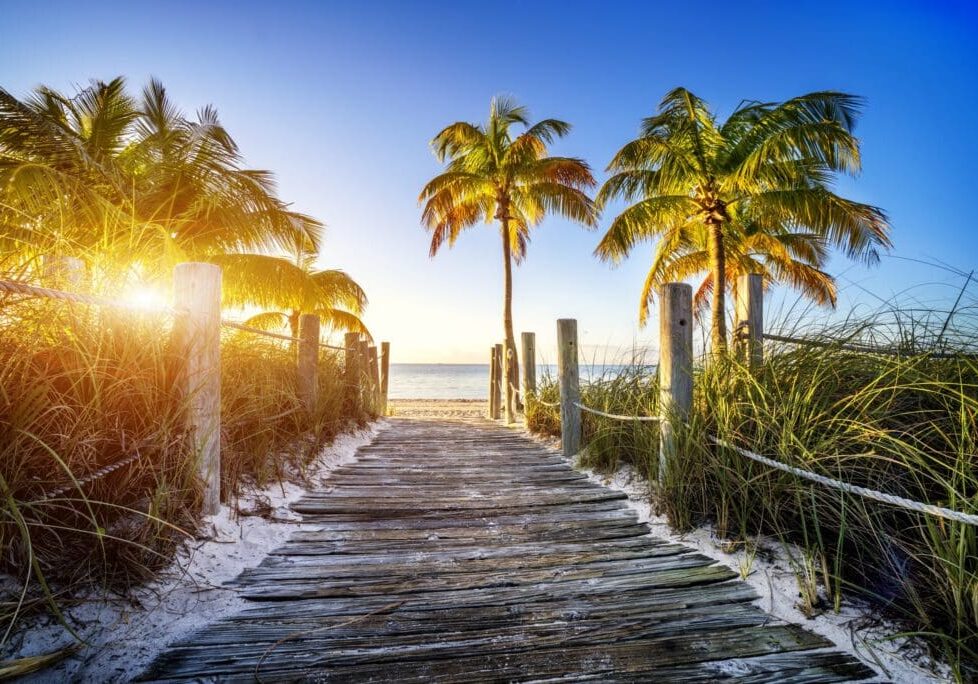 Sunlit wooden pathway leading to a beach with palm trees.
