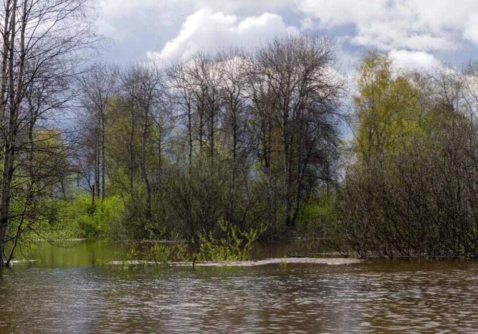 A calm river with trees and cloudy sky in the background.