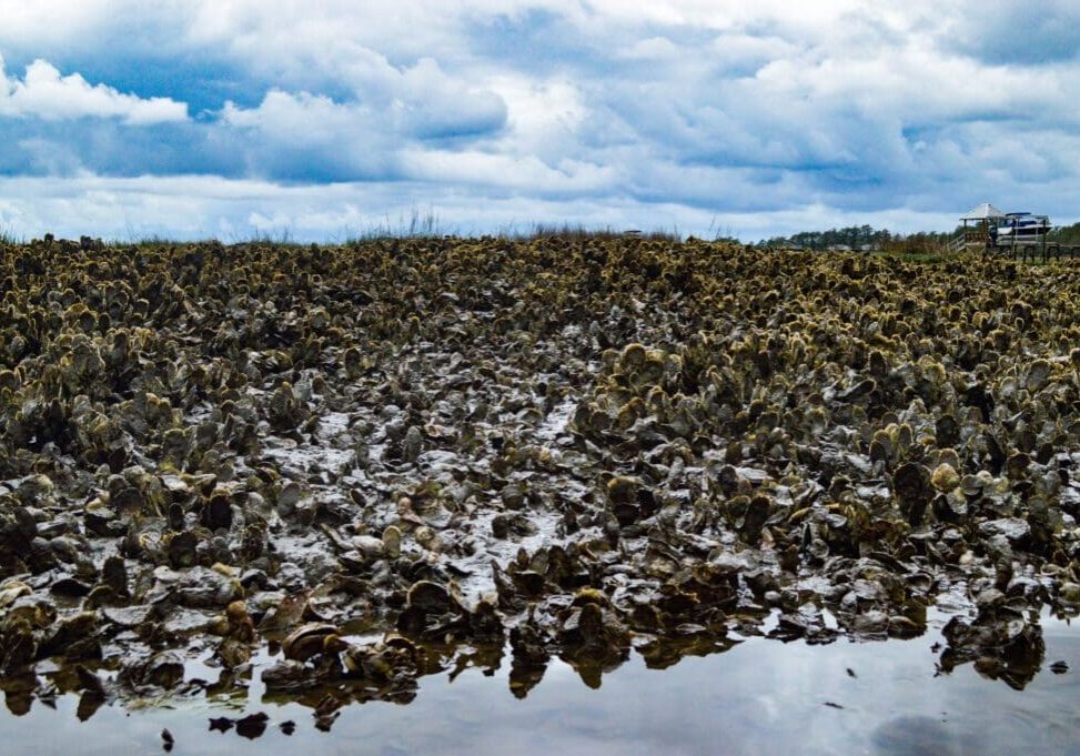 A reflective water surface mirrors a cloudy sky above a rocky shore.