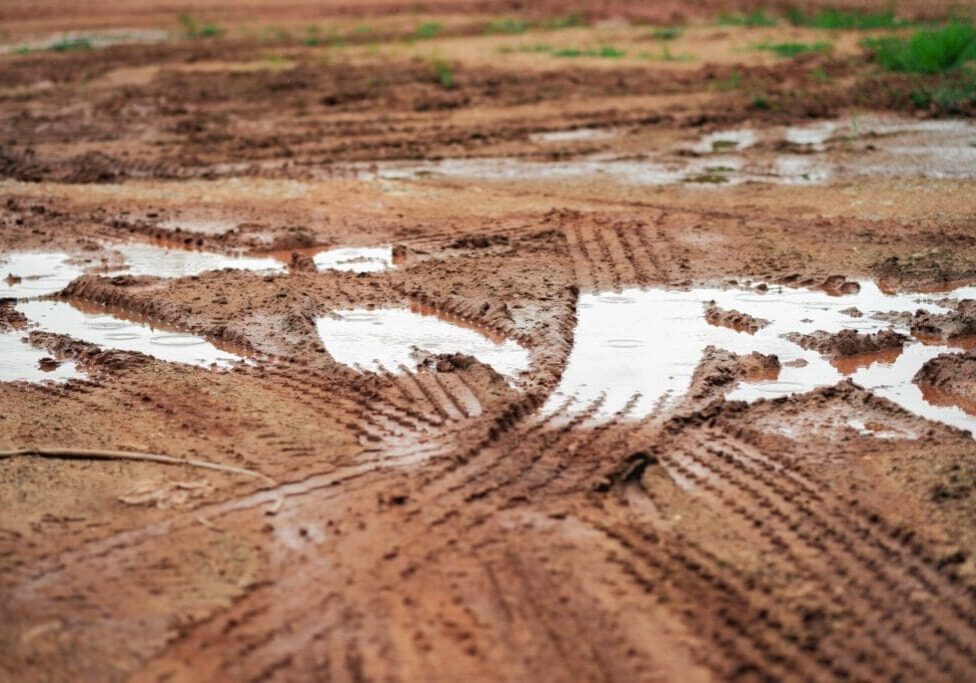 Tire tracks on muddy terrain after rain.