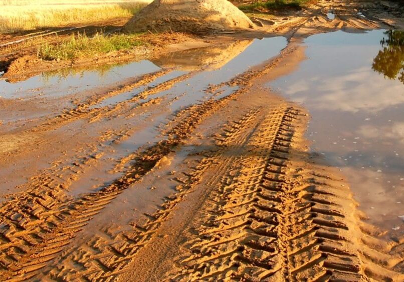 Vehicle tire tracks in wet muddy terrain on a sunny day.