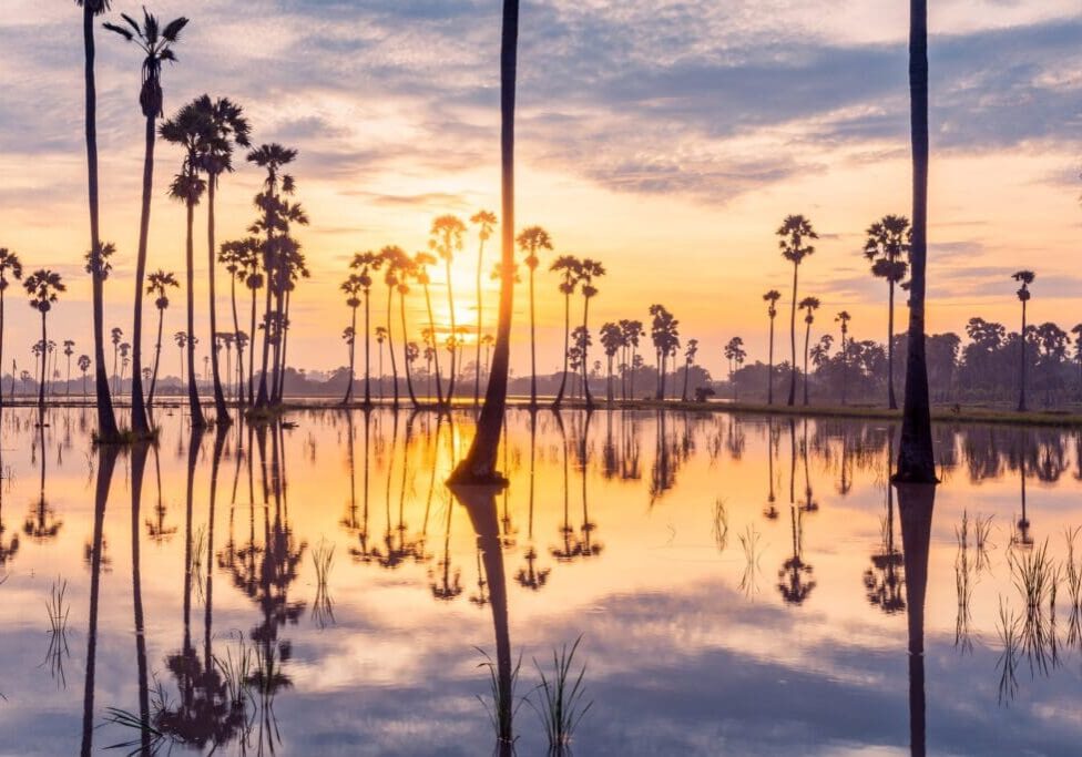 Sunset reflects off water with silhouetted palm trees.