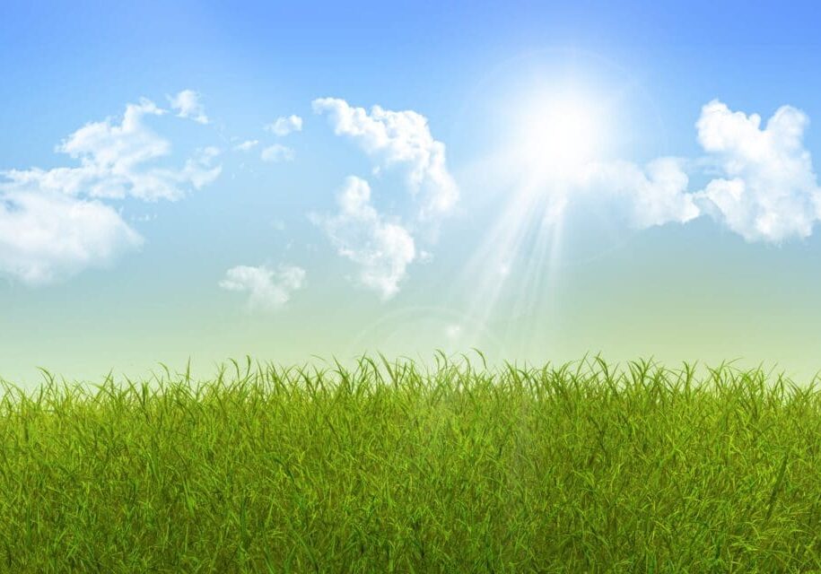 Bright sunny day over a green grassy field beneath a blue sky.