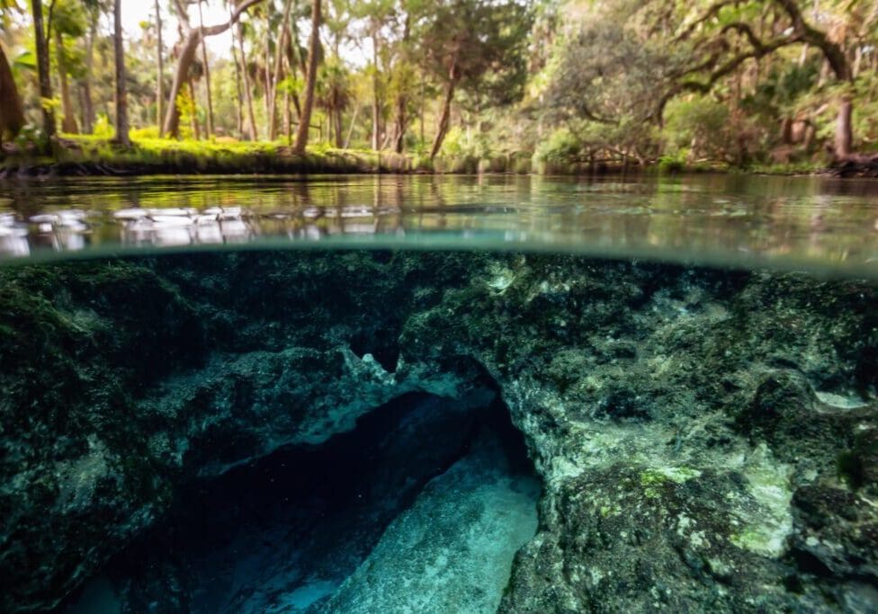 A clear water spring with underwater cave and surrounding trees.