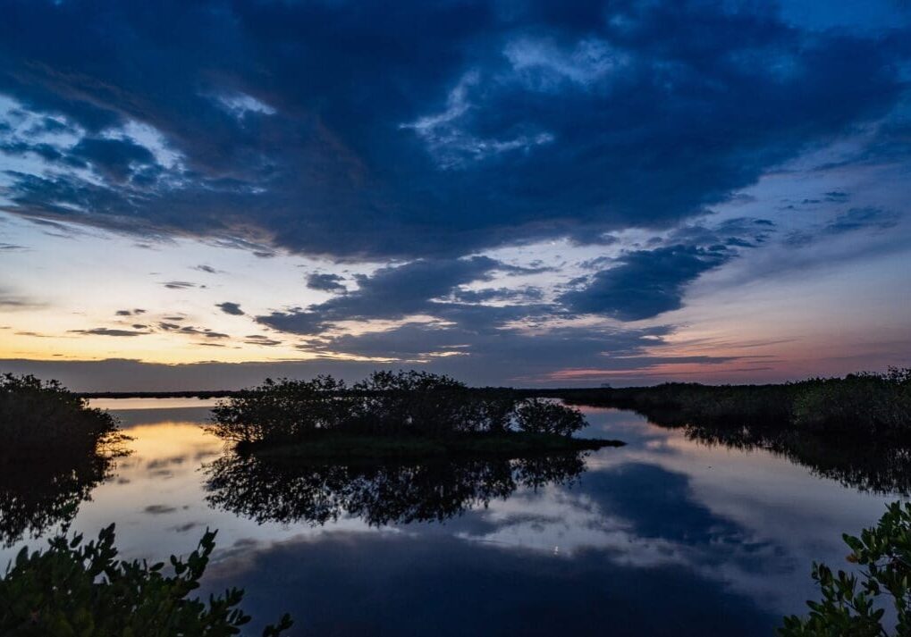 Tranquil sunset over a calm lake with silhouetted trees.
