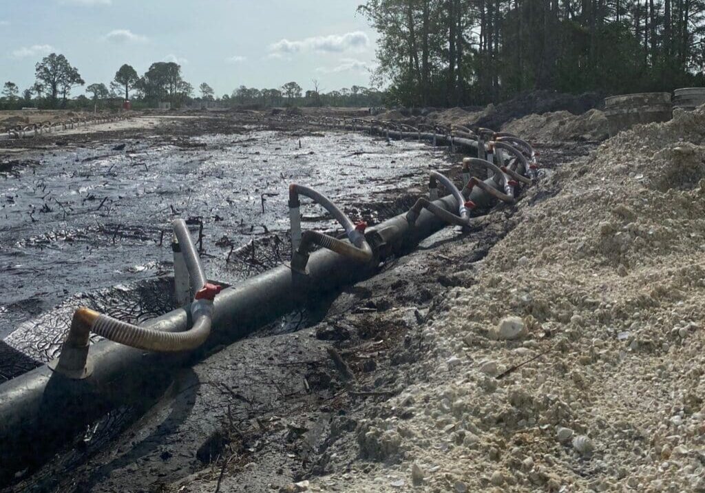 Large snake being handled by a person in a muddy area near trees.